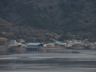 産地の特徴