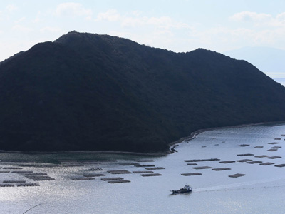 産地の特徴