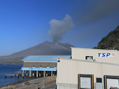 Tarumizu Office and Tarumizu processing Division