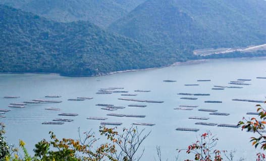 Project in Hinase in the Seto Inland Sea, famous for its oysters 