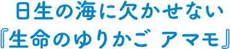 日生の海に欠かせない『生命のゆりかご アマモ』